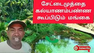 சேட்டைமுத்தை கல்யாணம் பண்ணகூப்பிடும் மங்கை#settaimuthu #comady #paperid #sathana