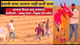 बकासुर प्रथम क्रमांकाचा मानकरी ❤#bakasur#bailgadasharyat#bailgada#बैलगाडा#बकासुर#cow#bull#viral#love