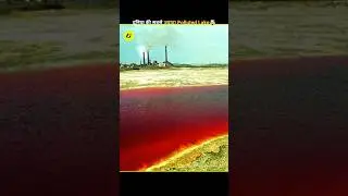 Inside the World's Most Polluted Lake #shorts #factospritz #facts
