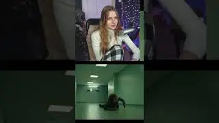Осталась одна #SCP #антимеметика #реакция