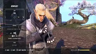 The Elder Scrolls Online: Crafting and Guild Dailies at CP 677