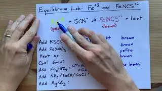 Лаборатория Ле Шателье ОТВЕТЫ: ​​Равновесие Fe3+ и FeSCN2+