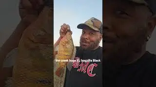 Mayan ciclid slabs on the nrv baits creek bugz xl bugzilla #creekbugz