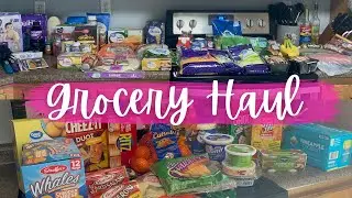 $220 TWO WEEK GROCERY HAUL + MEAL PLAN || HEALTHY SNACK IDEAS