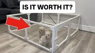 Honest and Practical Review of This Playpen For Pets! #ad