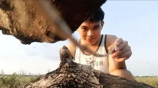 Outdoor Camera Touching Asmr | Scratching and Tapping | Visual triggers