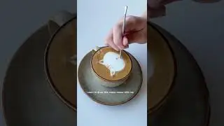 Learn your first cat latte art pattern #shorts #coffeeart #latteart