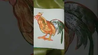 Cock Real Drawing| How to draw Cock | Right Mindz With Rashmi|