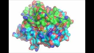 Drug discovery: how to use structural information as the basis for discovery of new drug candidates.