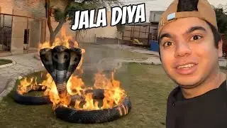 Big Snake Ko Jala Diya Aaj 🥳 || SW Pet House&middot;