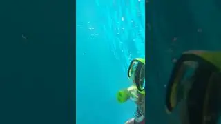 Snorkeling on the Three Pools, Dahab