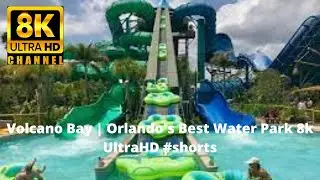 Volcano Bay | Orlando's Best Water Park 8k UltraHD #shorts.cute animals baby