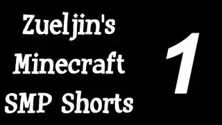 Zueljin's Minecraft SMP Shorts - Part 1