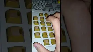 IBM MICRO CADAM Alps SKCL Yellow LPFK Sound Test