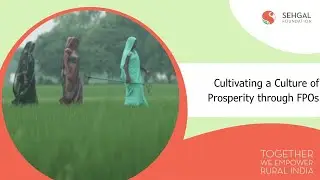 Cultivating a Culture of Prosperity through FPOs l Walmart Foundation l S M Sehgal Foundation (2025)