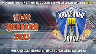 11.02.2023. ХГ. 2012. Pro Hockey - Созвездие