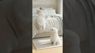 My sibling helped me. Brave puppy's big bed adventure