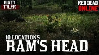 Rams Head Locations for Daily Challenges   Red Dead Online RDR2