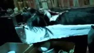 Halloween Horror Nights 19 - Bill & Ted Sneak In