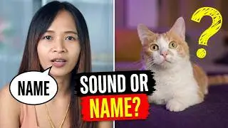 Can Cats Really Understand Us?_  Understanding Cats' Response to Speech! 🗣️😺