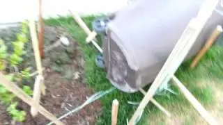 Acme Skunk Trap