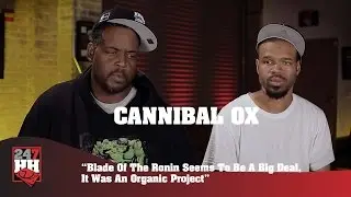 Cannibal Ox &mdash; Blade Of The Ronin, похоже, станет серьёзным событием. Это был органический проект (эксклюзив 247HH)