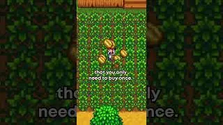 There&rsquo;s a Stardew Crop That Makes You LOSE Money!