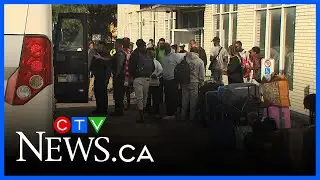 Asylum seekers from Africa face anti-Black racism, employment discrimination | Report says