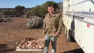 PROSPECTING, Gem stones in Western Australia.