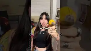 C&oacute;mo encajar un dibujo