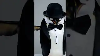 Funny Transformation  #funnytransformation #entertainment #animaltransformation #shorts