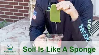 Soil Is Like A Sponge