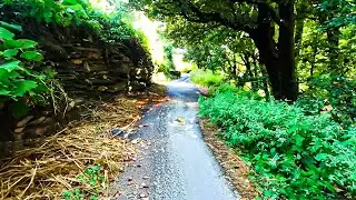 Walking in the Serene Nature of Afghanistan | Relaxing Walk ASMR