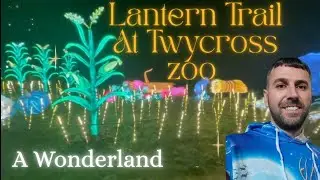 Lanterns Of The Wild At Twycross Zoo | Adji's Out And About 