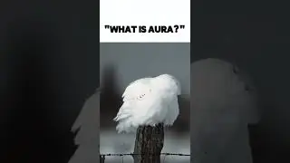 #cold #aura #edit