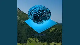 Neural Ace