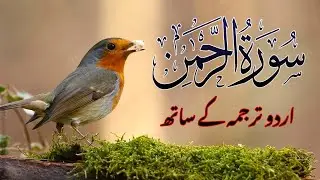 Surah Rahman Urdu Tarjuma k Sath | Qari Al Sheikh Abdul Basit Abdul Samad | NoorullahTV