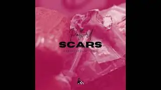 Pollvrd & Mrruffupdaspeaker - Scars (prod. by @mrruffupdaspeaker)