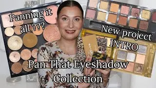 Pan That Eyeshadow Collection INTRO | Panning All Of My Eyeshadows 😱
