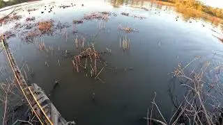 Duck opener 2024!!!