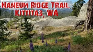 Naneum Ridge Trail Mountain Biking Kittitas WA