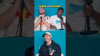 Make the Sound Challenge 😭💀