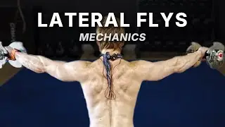 Lateral Raises | Side Deltoid Function and Shoulder Mechanics (Cues + Errors)