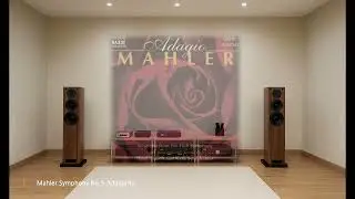 [4K] Mahler Symphony No.5 Adagietto / Polish National Radio Symphony Orchestra, Antoni Wit