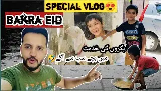 Qurbani Kay Bakray with Zayan khan | Eid Ul Adha