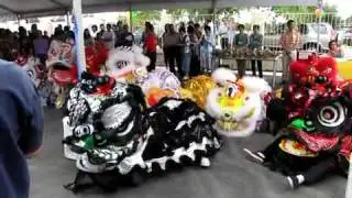 Choy Lee fut WA liondance