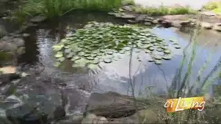 Angie's List: Landscape Water Features