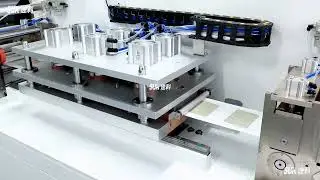 SK 300F  4-Seal Packaging Machine: Perfect Edges, Zero Waste, 100% Profit!