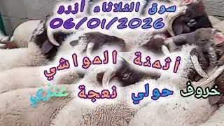 مباشرة معكم من سوق الثلاثاء أزرو بتاريخ 06/01/2026 #اكسبلور 