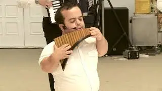 Formația Bordeiaș.md la nunta, restaurantul Plovdiv,Bălți,2019. +37367693935